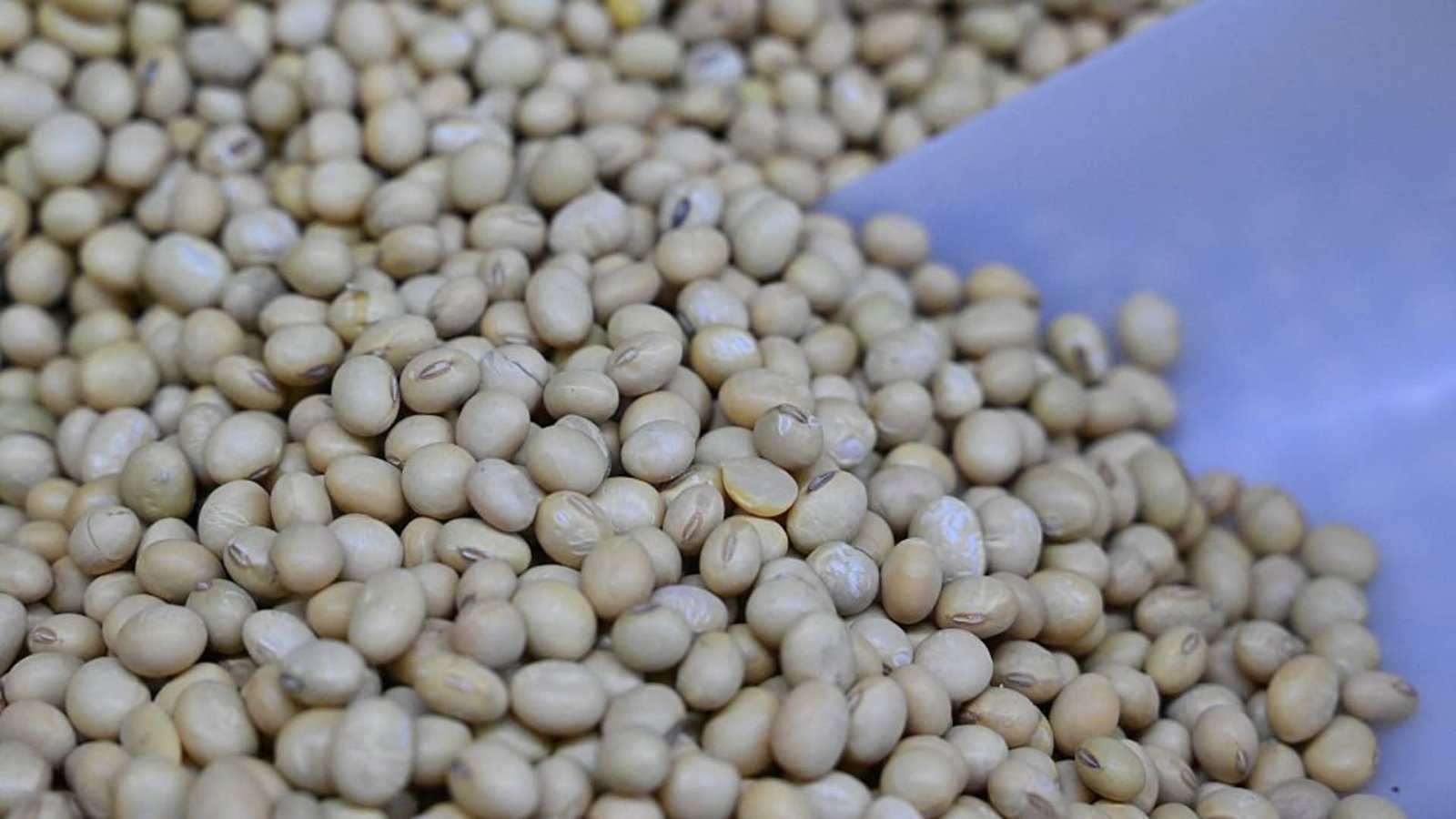 U.S.-China soybeans reveals food security goals. Goldman Sachs plays