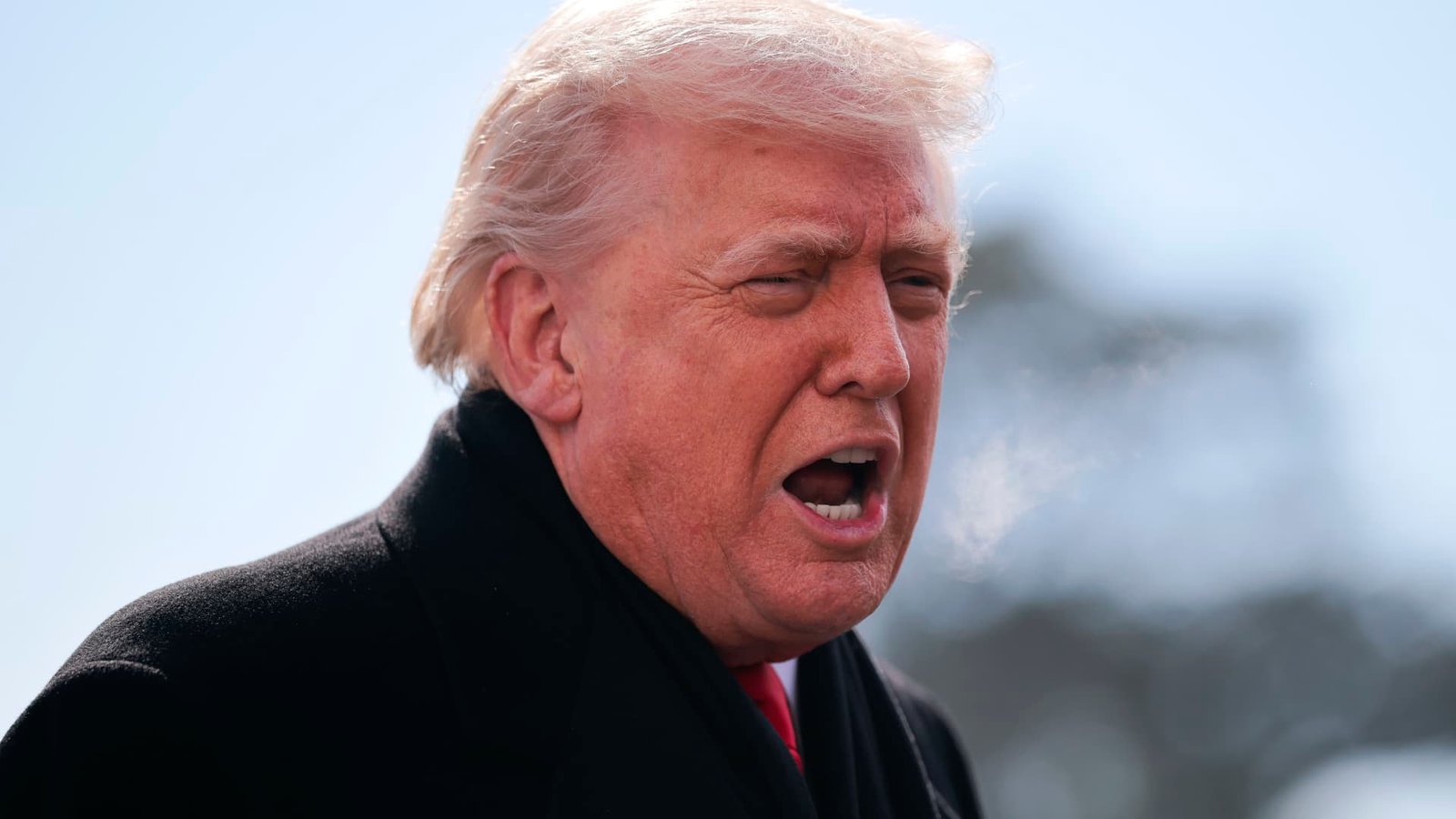 Dollar worst one-day rout since April. Trump says hasn't fallen too low