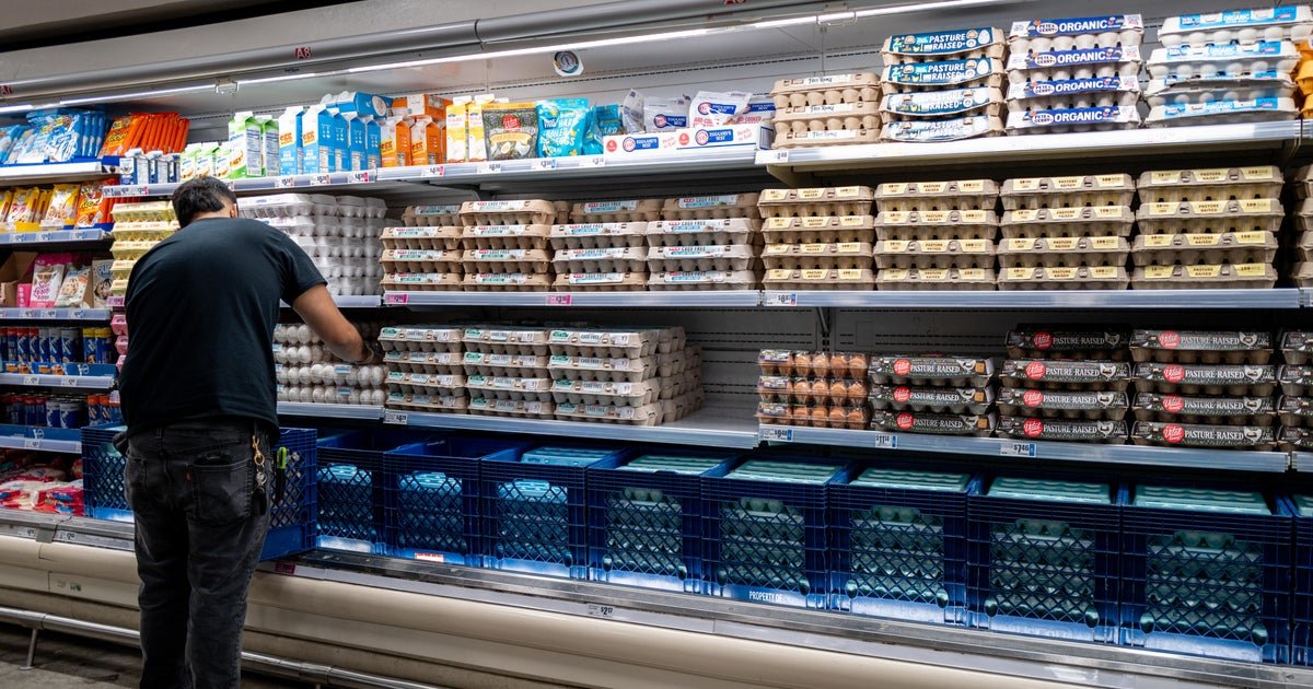 Egg producers reach federal and state settlement over allegations of price-fixing
